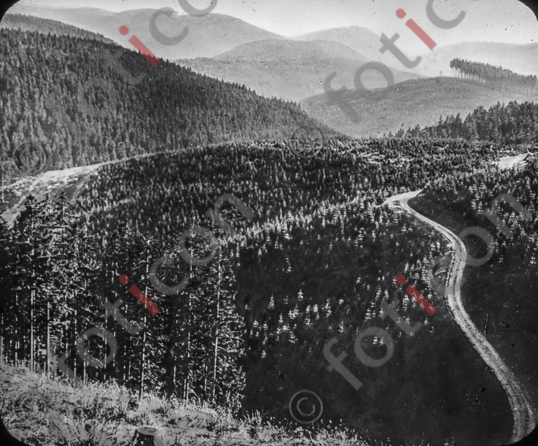Der Oberharz I The Upper Harz - Foto foticon-simon-168-001-sw.jpg | foticon.de - Bilddatenbank für Motive aus Geschichte und Kultur